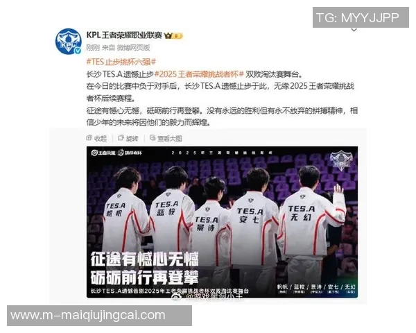 2026年3月份新闻聚焦王者荣耀TES团队协作的成功秘诀与挑战分析